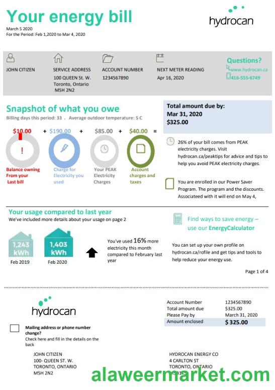 USA Ontario Hydrocan electricity utility bill template in Word and PDF format